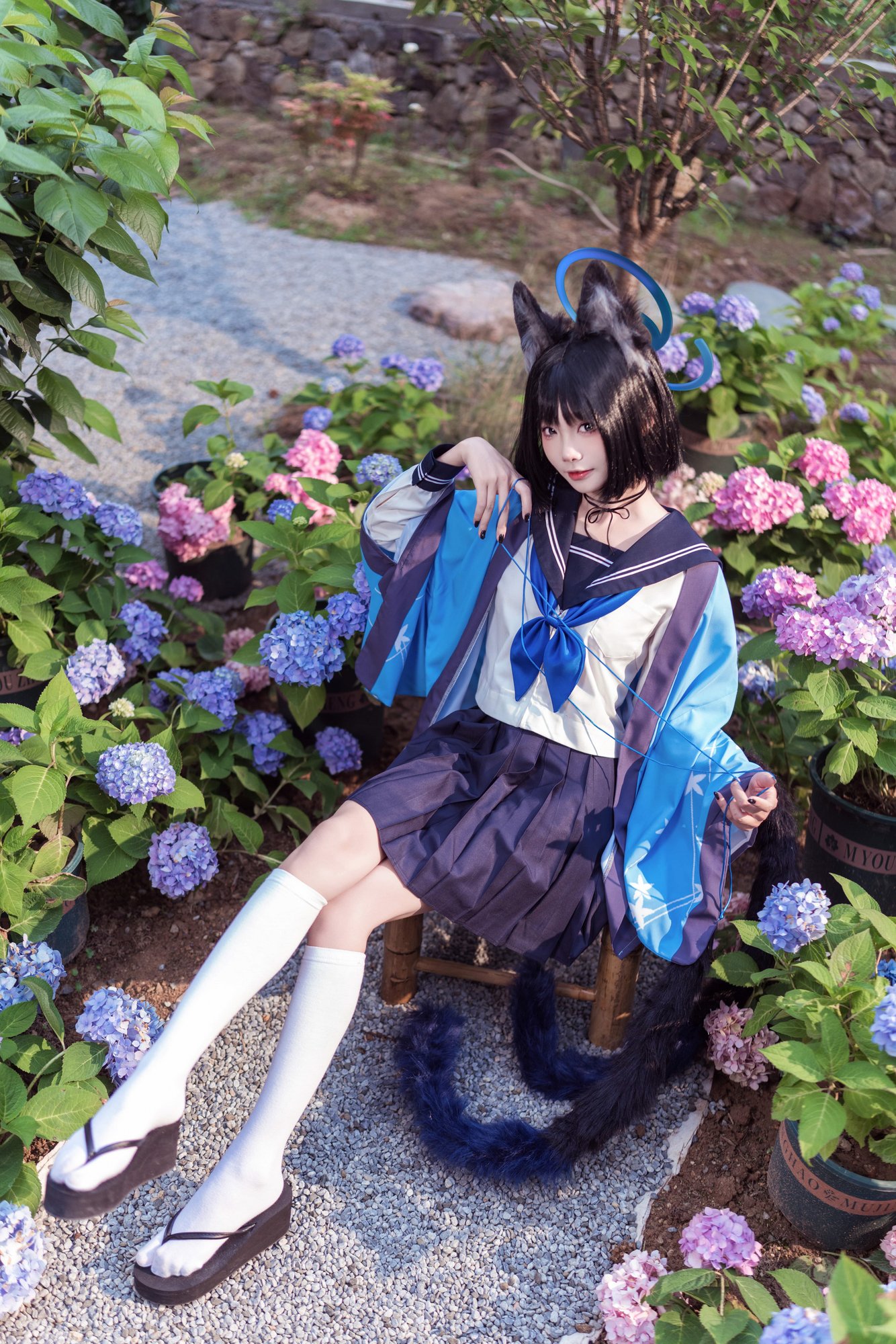 艾西Aiwest - 桐生桔梗