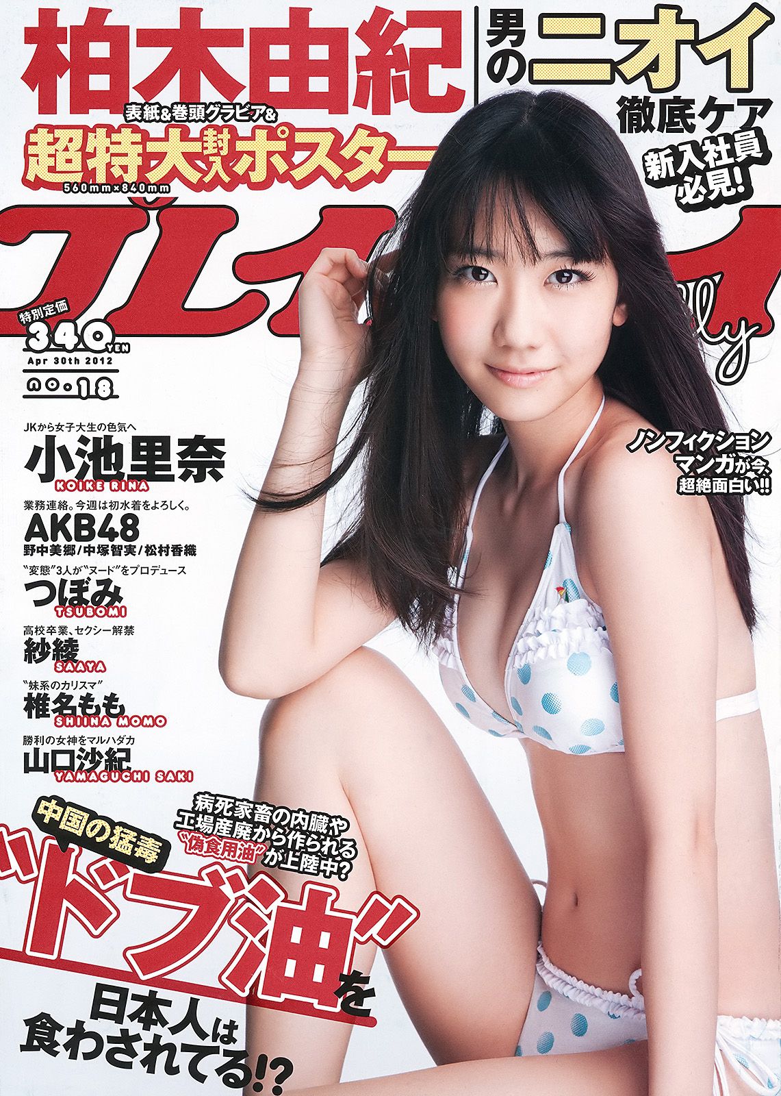 [Weekly Playboy] 2012年No.18 写真杂志